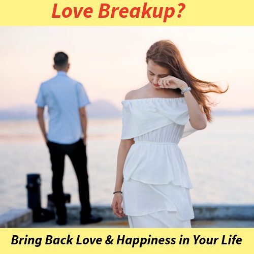 Love breakup solution bring back love astrologer